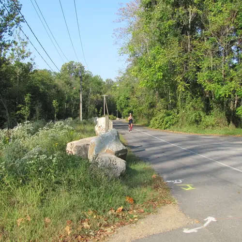 2012 race photo 40