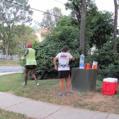 2015 race photo 10