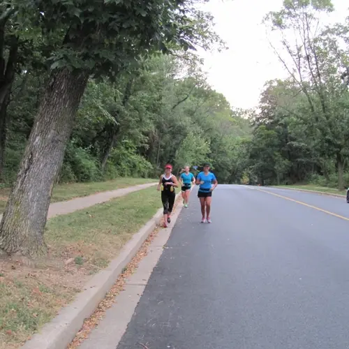 2015 race photo 33