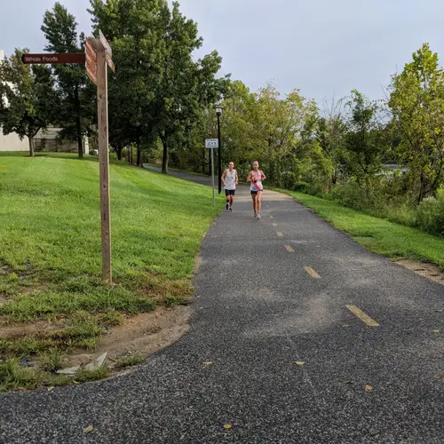 2018 race photo 146