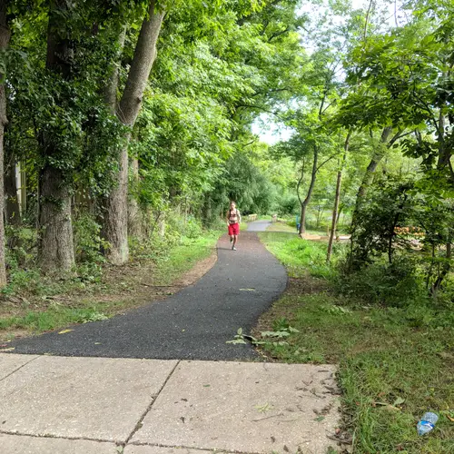 2018 race photo 198