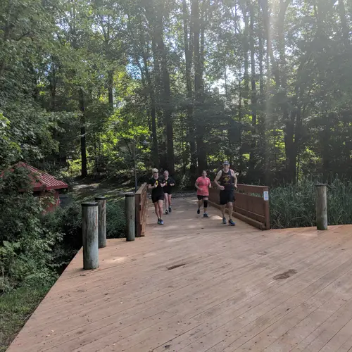 2018 race photo 218